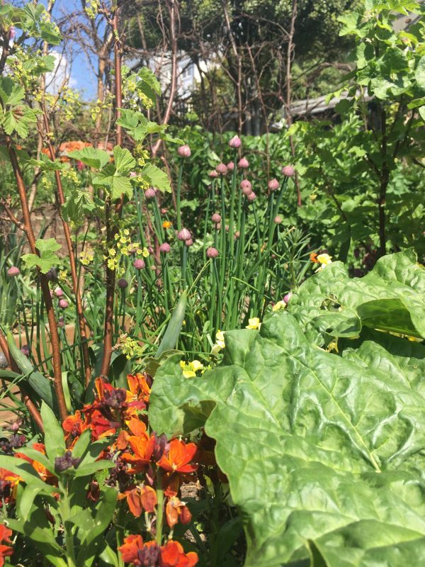 East Sussex - Propagation Day