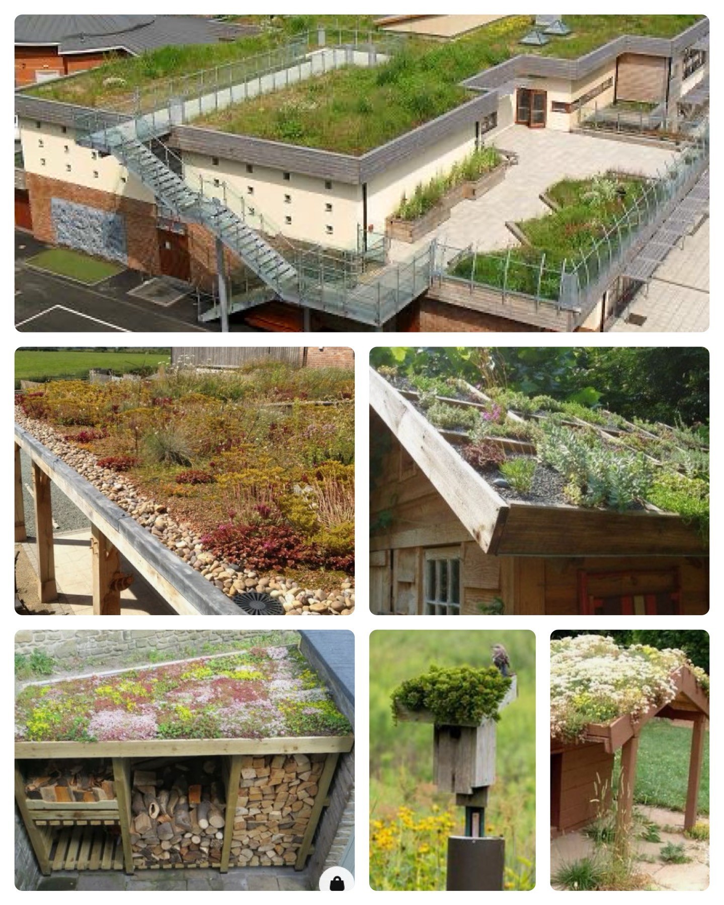 Northumberland - Introduction to Green Roofs