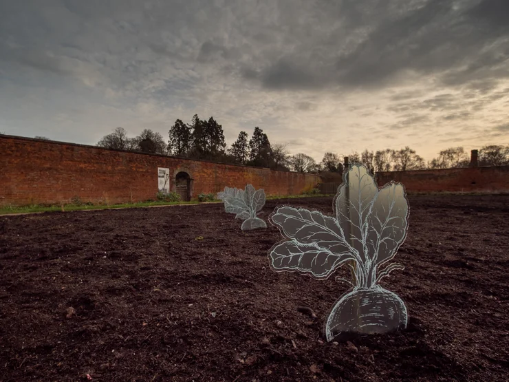 Staffordshire - Orchard Tree Planting