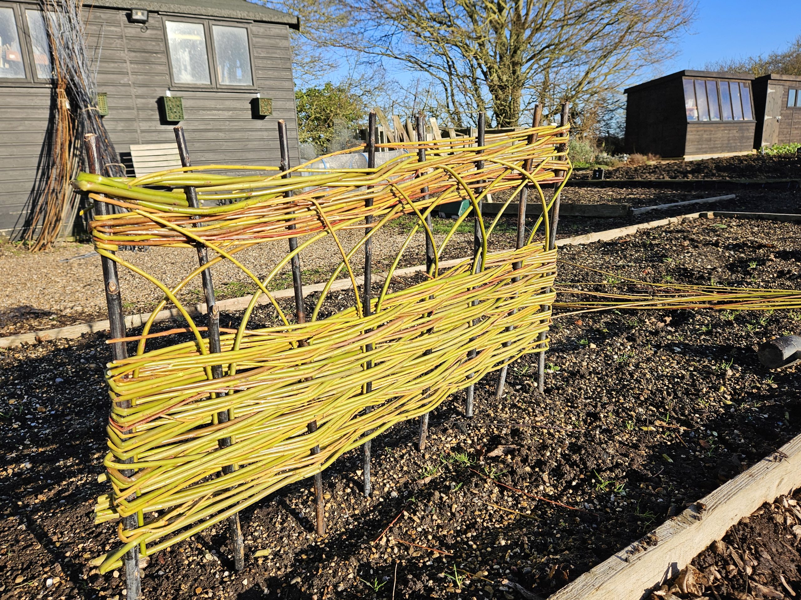 Essex - Creating Willow Fencing & Hurdles Workshop