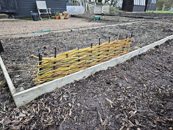 Essex - Creating Willow Fencing & Hurdles Workshop - Image 2